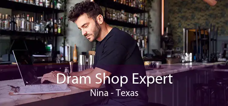 Dram Shop Expert Nina - Texas