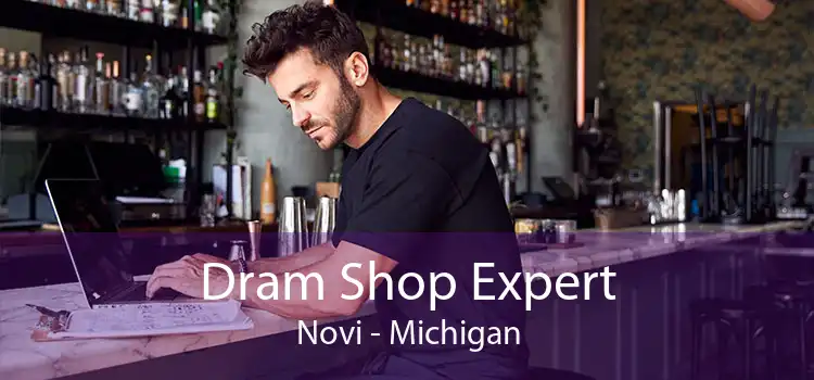 Dram Shop Expert Novi - Michigan