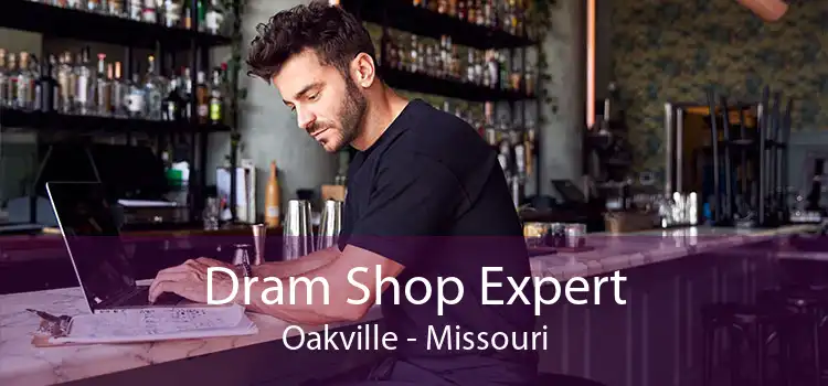 Dram Shop Expert Oakville - Missouri