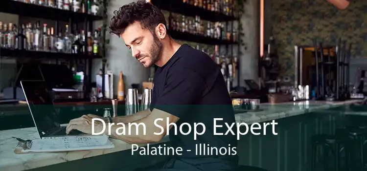 Dram Shop Expert Palatine - Illinois
