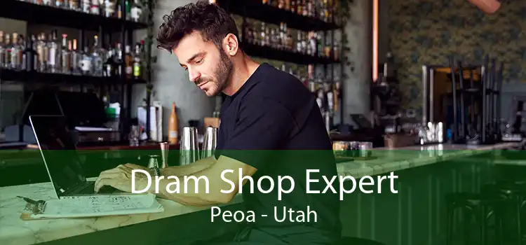 Dram Shop Expert Peoa - Utah