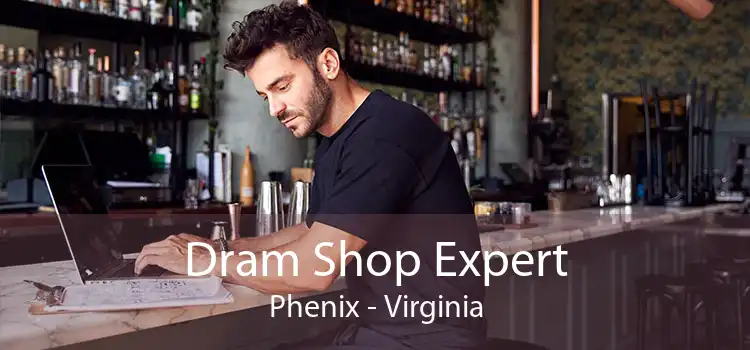 Dram Shop Expert Phenix - Virginia
