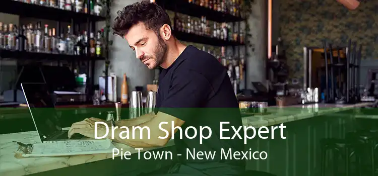 Dram Shop Expert Pie Town - New Mexico