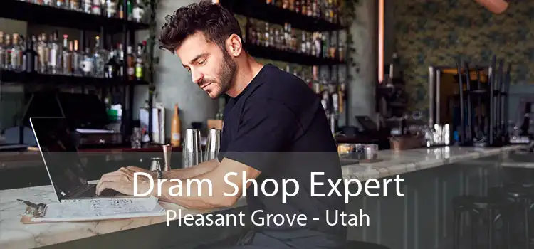 Dram Shop Expert Pleasant Grove - Utah