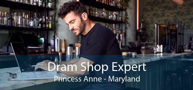 Dram Shop Expert Princess Anne - Maryland