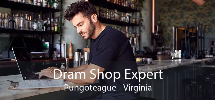 Dram Shop Expert Pungoteague - Virginia