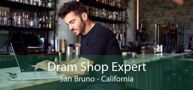Dram Shop Expert San Bruno - California