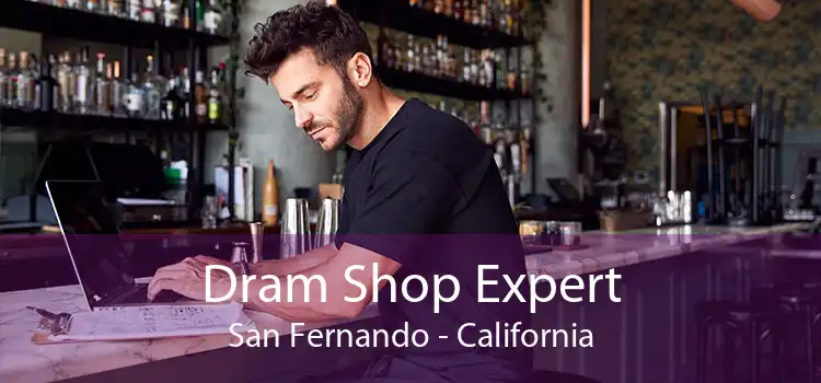Dram Shop Expert San Fernando - California