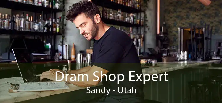 Dram Shop Expert Sandy - Utah