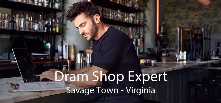 Dram Shop Expert Savage Town - Virginia