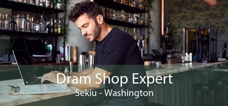 Dram Shop Expert Sekiu - Washington