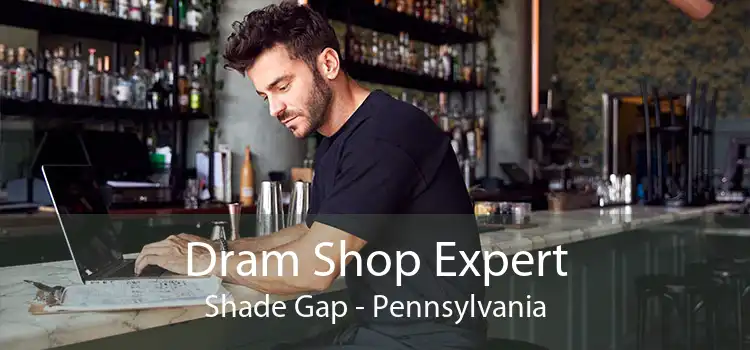 Dram Shop Expert Shade Gap - Pennsylvania