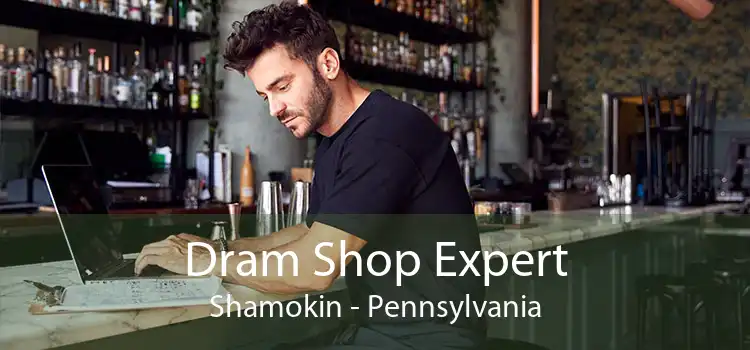 Dram Shop Expert Shamokin - Pennsylvania