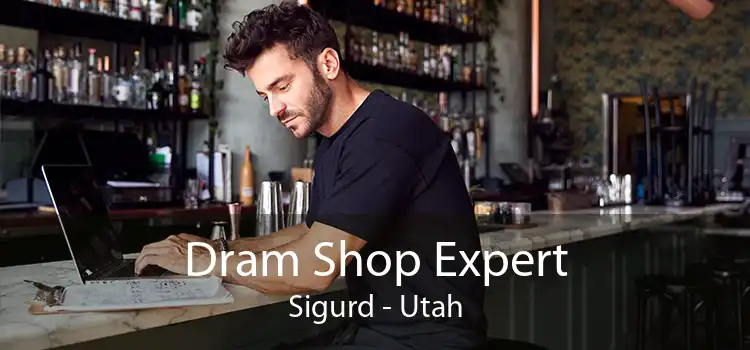 Dram Shop Expert Sigurd - Utah