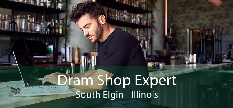 Dram Shop Expert South Elgin - Illinois