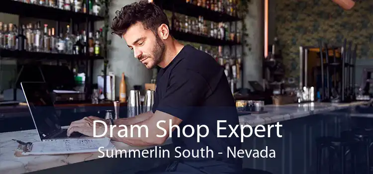 Dram Shop Expert Summerlin South - Nevada