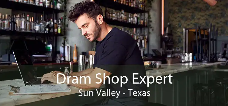 Dram Shop Expert Sun Valley - Texas