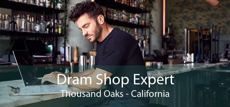 Dram Shop Expert Thousand Oaks - California