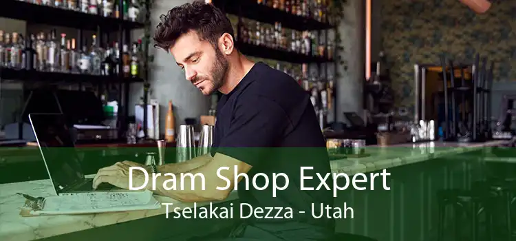Dram Shop Expert Tselakai Dezza - Utah
