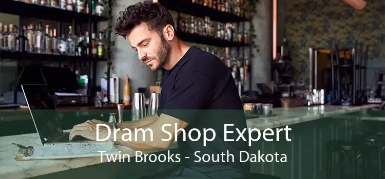 Dram Shop Expert Twin Brooks - South Dakota
