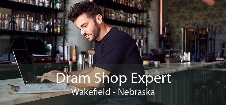 Dram Shop Expert Wakefield - Nebraska
