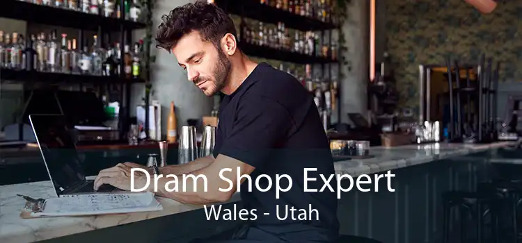 Dram Shop Expert Wales - Utah