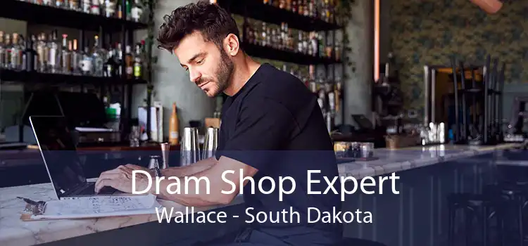 Dram Shop Expert Wallace - South Dakota