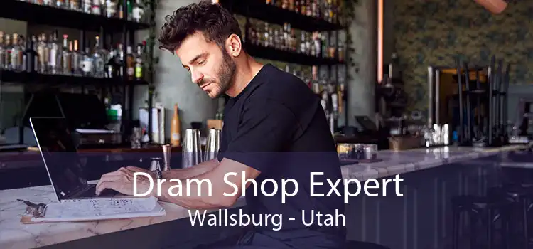 Dram Shop Expert Wallsburg - Utah