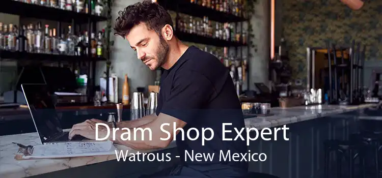 Dram Shop Expert Watrous - New Mexico