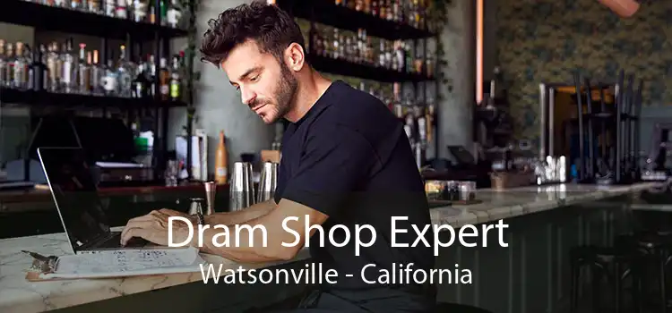 Dram Shop Expert Watsonville - California