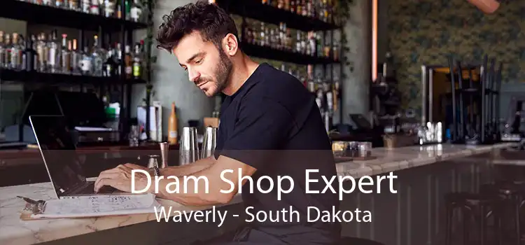 Dram Shop Expert Waverly - South Dakota
