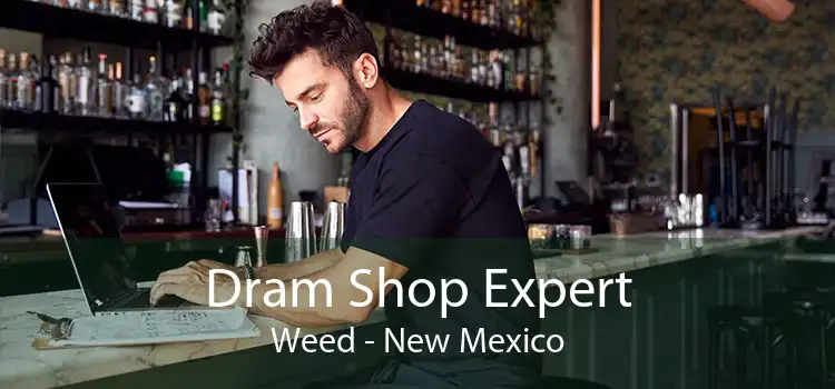 Dram Shop Expert Weed - New Mexico