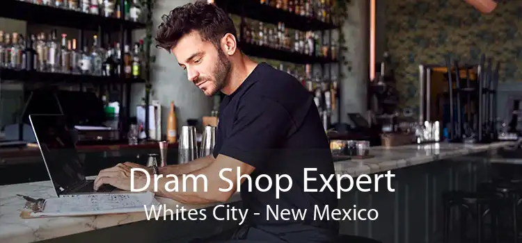 Dram Shop Expert Whites City - New Mexico