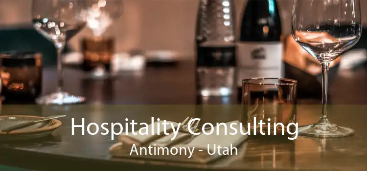 Hospitality Consulting Antimony - Utah