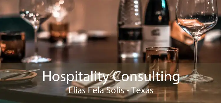 Hospitality Consulting Elias Fela Solis - Texas