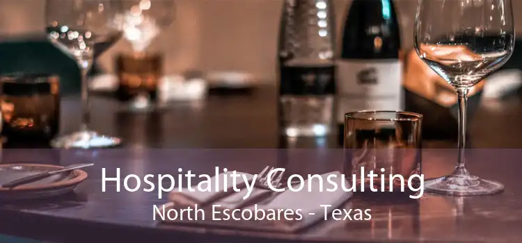 Hospitality Consulting North Escobares - Texas