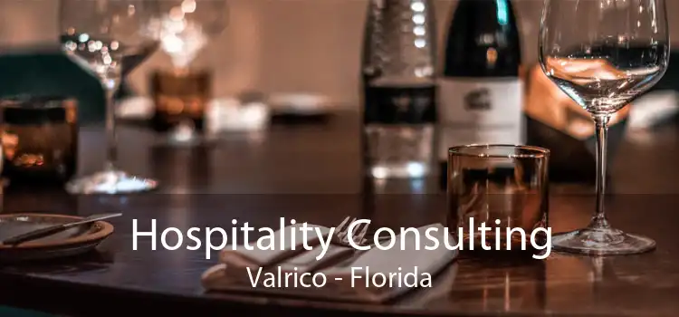 Hospitality Consulting Valrico - Florida