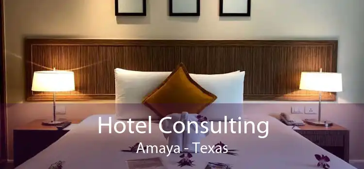 Hotel Consulting Amaya - Texas