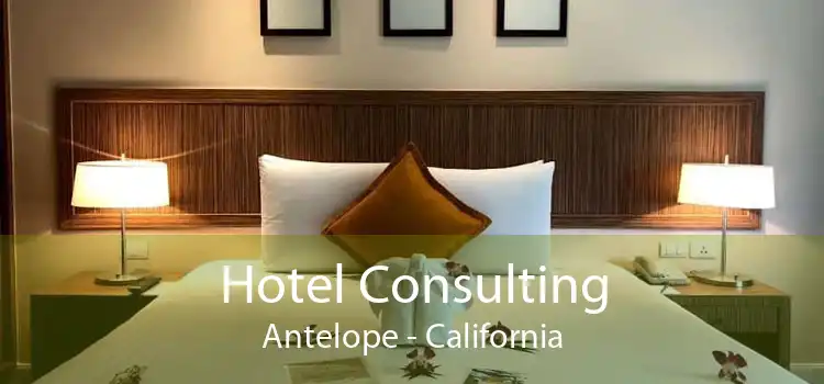 Hotel Consulting Antelope - California