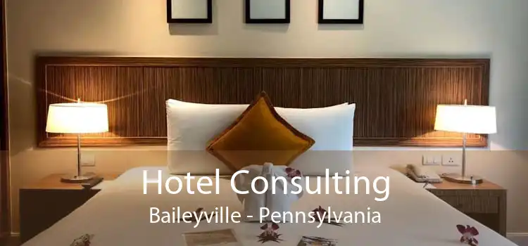 Hotel Consulting Baileyville - Pennsylvania