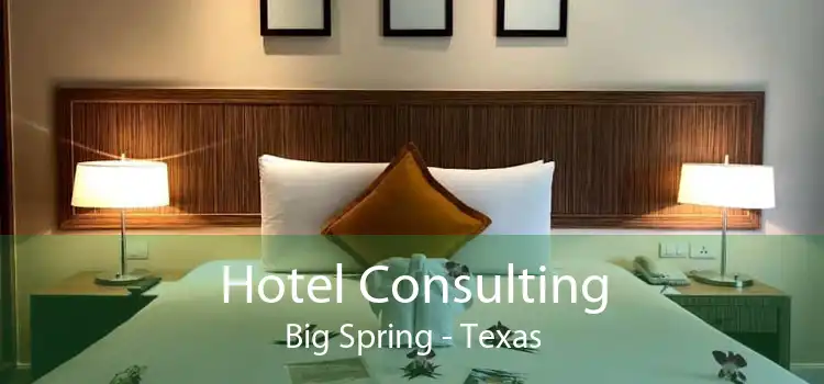Hotel Consulting Big Spring - Texas
