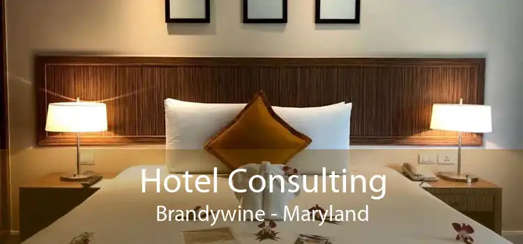 Hotel Consulting Brandywine - Maryland