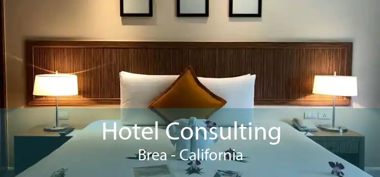 Hotel Consulting Brea - California
