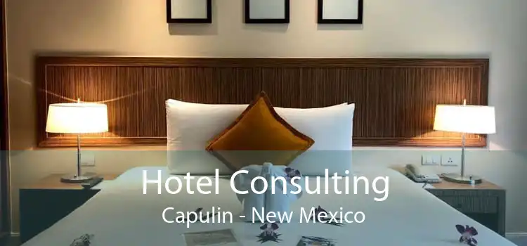 Hotel Consulting Capulin - New Mexico