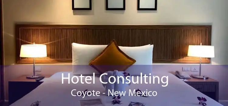 Hotel Consulting Coyote - New Mexico