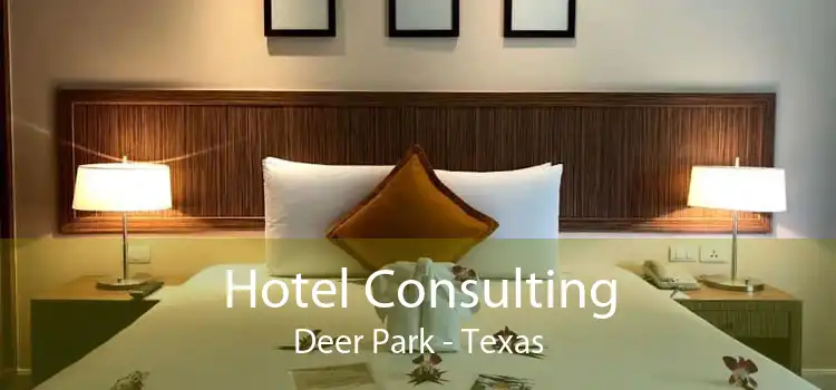 Hotel Consulting Deer Park - Texas