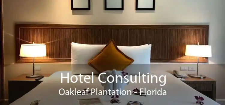 Hotel Consulting Oakleaf Plantation - Florida