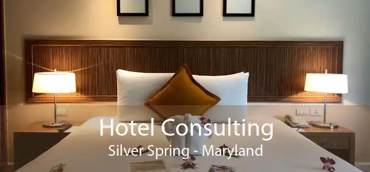 Hotel Consulting Silver Spring - Maryland