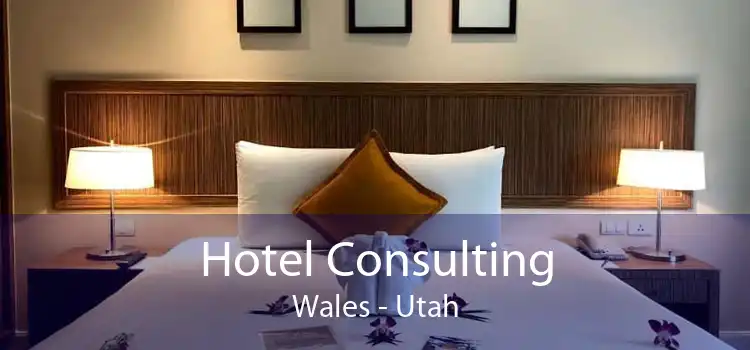 Hotel Consulting Wales - Utah
