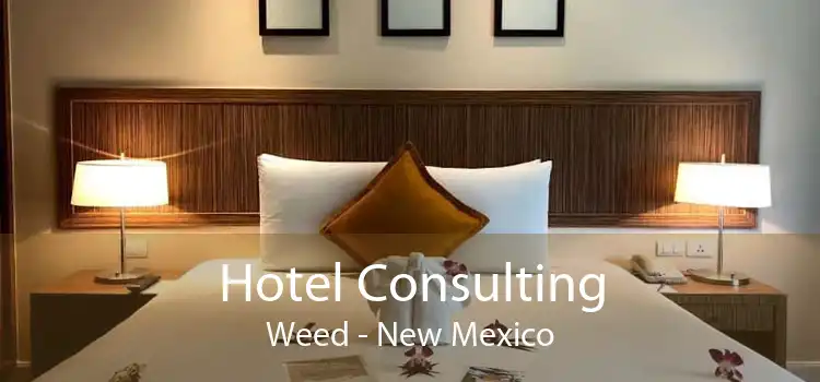 Hotel Consulting Weed - New Mexico